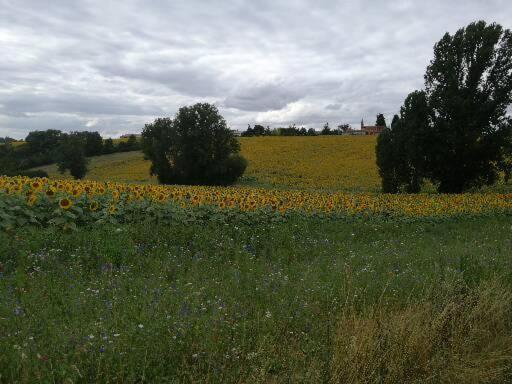Domaine De Cayre Bed & Breakfast *